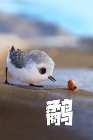 鹬 封面