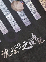 沈公子之成长记 封面