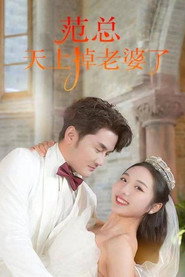 范总天上掉老婆了 封面