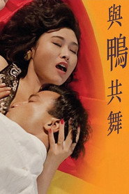 与鸭共舞 封面