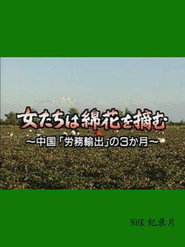 采棉女:中国劳务输出的三个月 封面