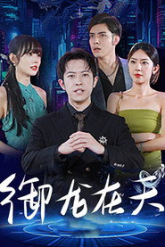 御龙在天 封面