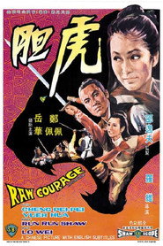 虎胆 封面