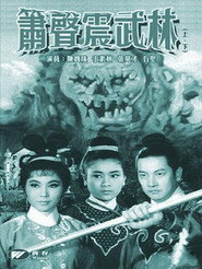 箫声震武林(下集) 封面