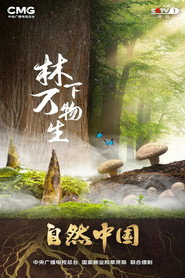林下万物生 封面