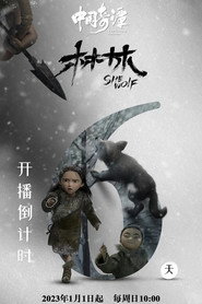 林林 封面