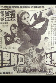 女黑俠血戰黑龍黨 封面