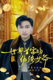 世界首富的纨绔少爷 封面