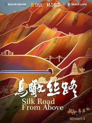 鸟瞰丝路 封面