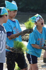 People in the Field 封面