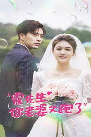 霍先生你老婆又跑了 封面