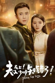 夫人在上少帅知错了 封面