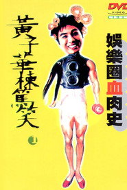 娱乐圈血肉史 封面