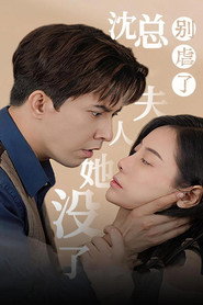 沈总别虐了,夫人她没了 封面