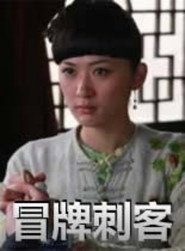 冒牌刺客 封面