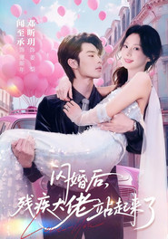 闪婚后,残疾大佬站起来了 封面