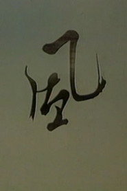 风 封面