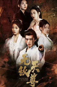 无敌天尊 封面