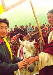梦回阿须 封面