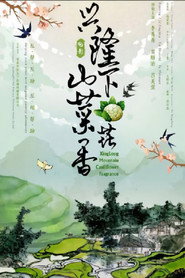 兴隆山下菜花香 封面