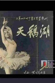 见证·影像志:芭蕾 封面