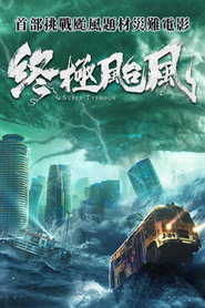 终极台风 封面