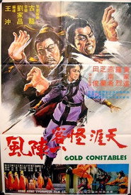 天涯怪客一阵风 封面