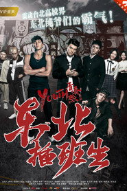 东北插班生 封面