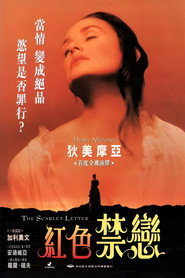 红字 封面