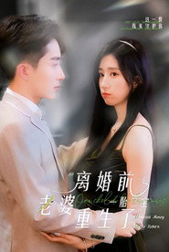 一胎二宝:离婚前老婆重生了 封面