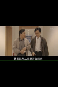 县委书记 封面
