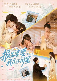 报告婆婆,我是你闺蜜 封面