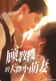 顾教授的天降小萌妻 封面