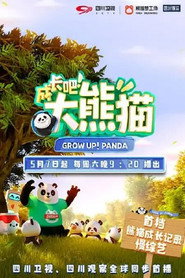 成长吧!大熊猫 封面