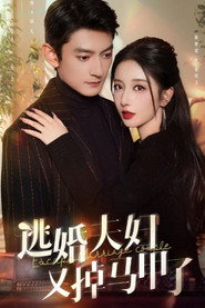 逃婚夫妇又掉马甲了 封面