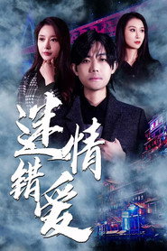 迷情错爱 封面