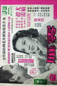 零雁 封面