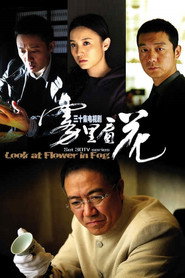 雾里看花 封面