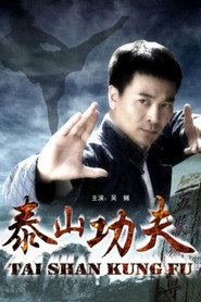 泰山功夫 封面