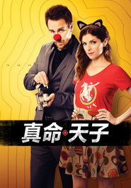 真命天子 封面