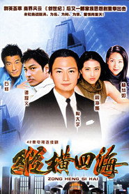 纵横四海 封面