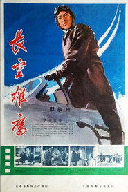 长空雄鹰 封面