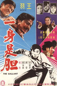 一身是胆 封面