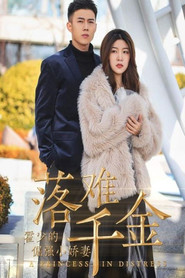 落难千金:霍少的倔强小娇妻 封面