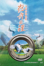 鹤舞北疆 封面