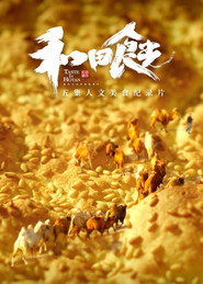和田食光 封面