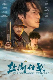 盐湖计划 封面