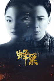 蜂巢 封面