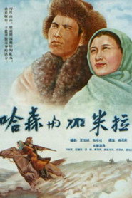 哈森与加米拉 封面