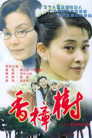 香樟树 封面